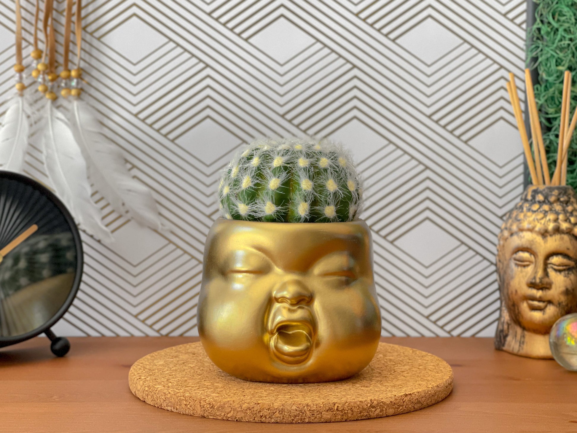 Baby Face Succulent Planter - The Leafy Branch