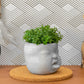 Baby Face Succulent Planter - The Leafy Branch