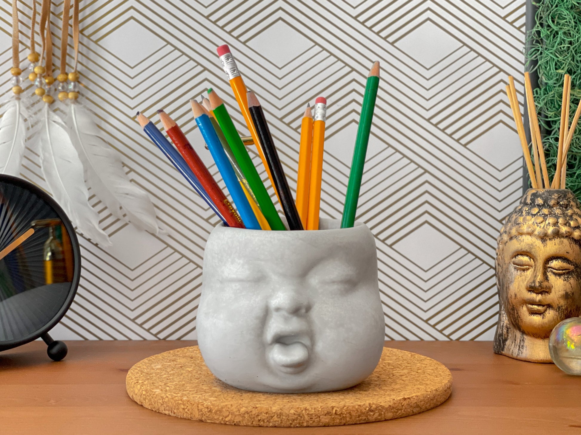 Baby Face Succulent Planter - The Leafy Branch