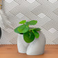 Butt Planter | Woman Body Pot - The Leafy Branch