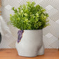 Amethyst Butt Planter - The Leafy Branch