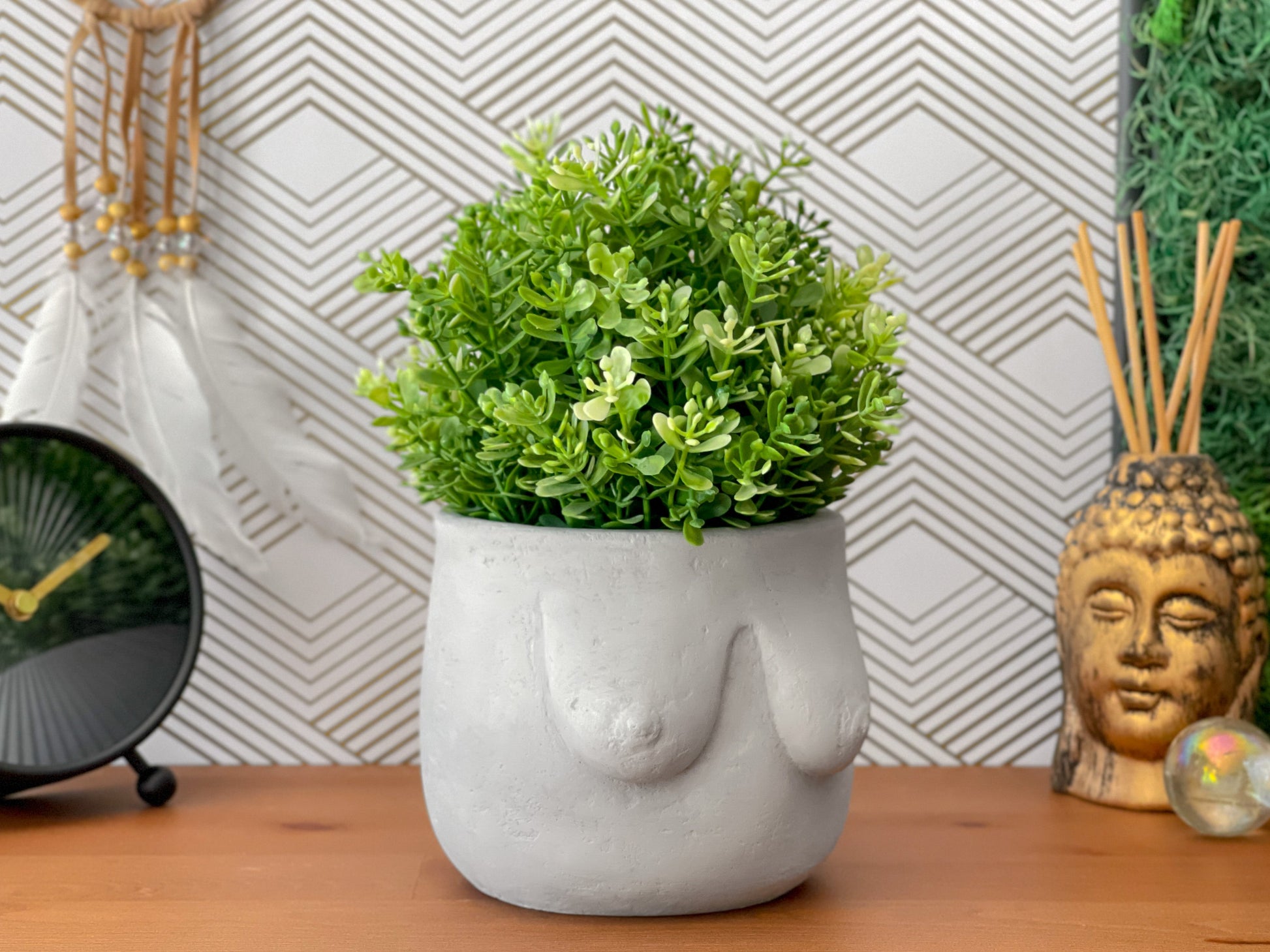 Boobs Planter | Woman Body Pot - The Leafy Branch