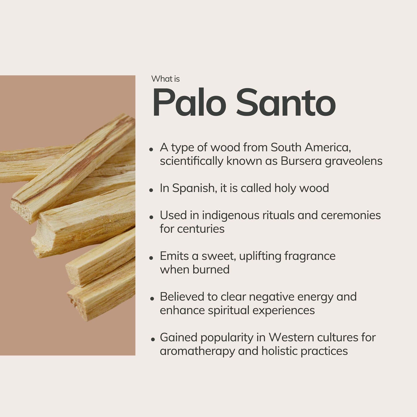 Palo Santo Incense Cones - Handmade in Ecuador (20 pcs)