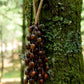 Hand Bell | Handmade Pala Seed Seed Shaker
